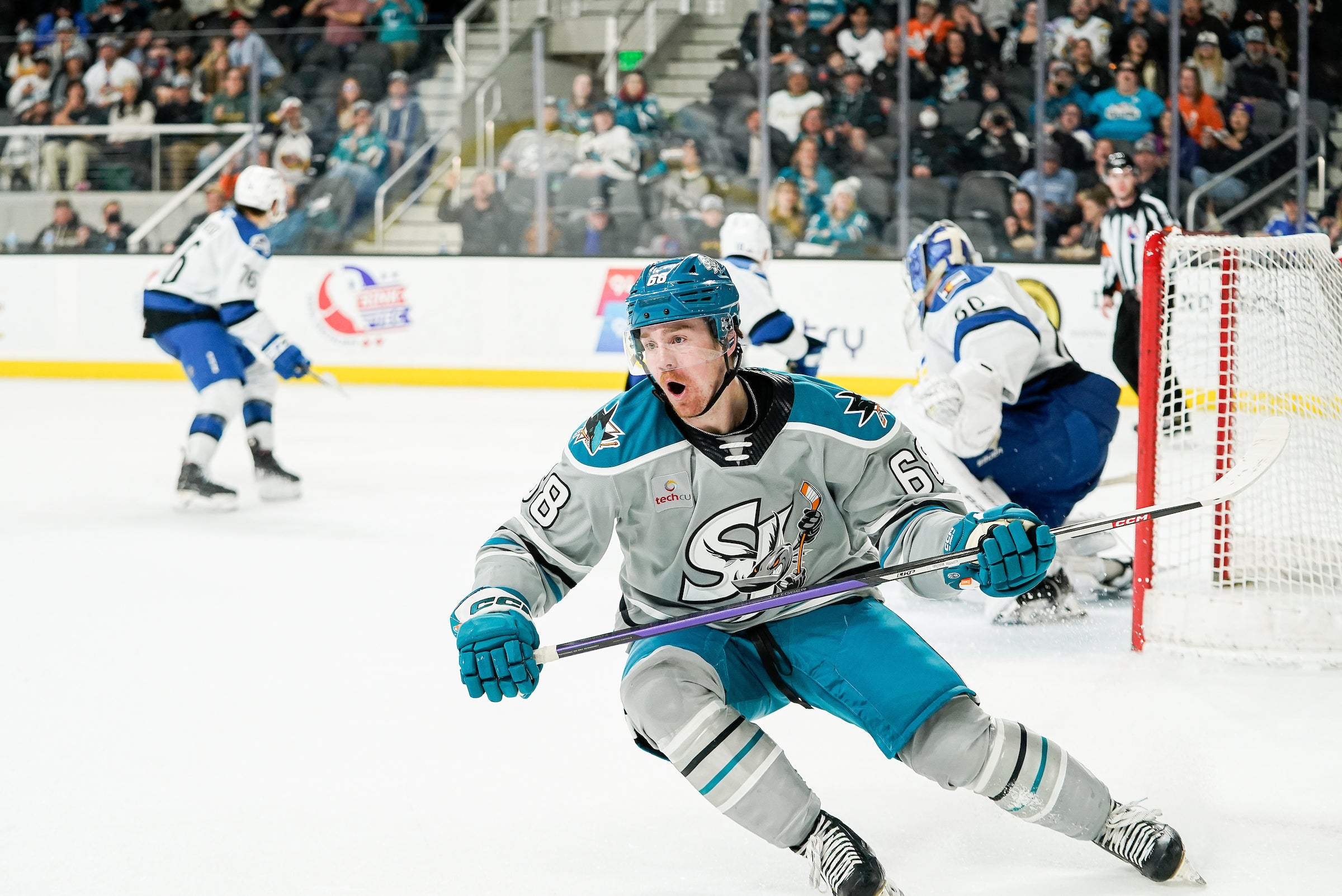 Barracuda Host Online Ugly Sweater Jersey Auction To Benefit the San Jose  Jr. Sharks