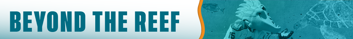 24-25 Website Graphics_Beyond the Reef Header 1175x133 (1).png