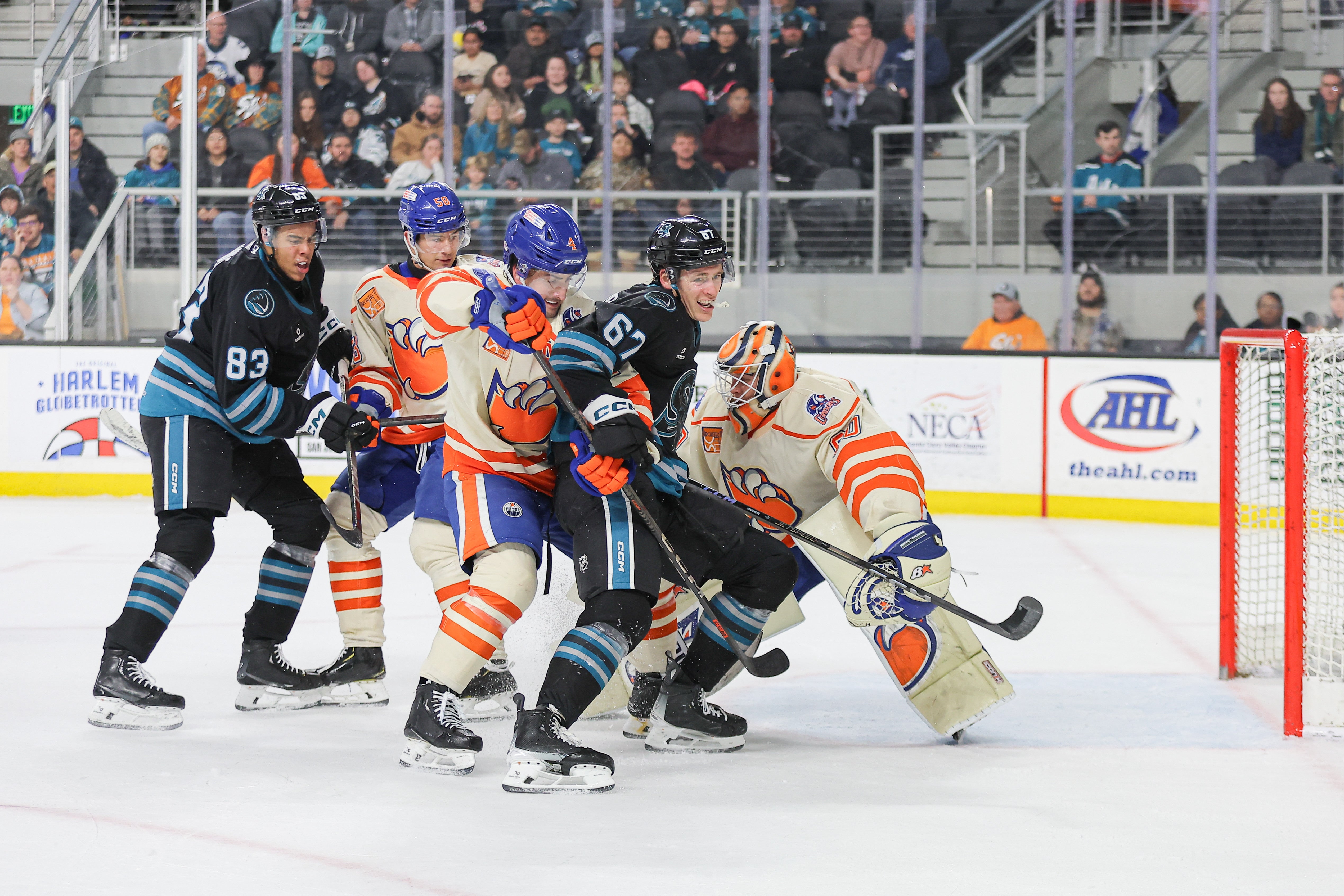 GAMEDAY: BARRACUDA AT CONDORS