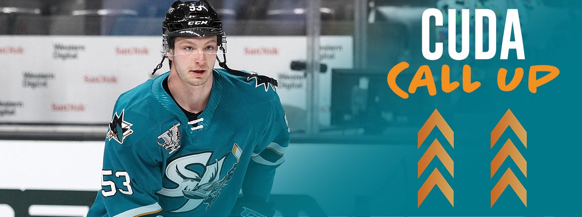 San Jose Sharks on X: We have re-signed defenseman Nicolas Meloche to a  one-year contract. 🦈  @SAPSports